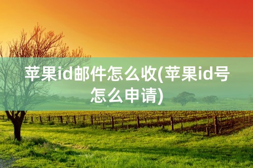 苹果id邮件怎么收(苹果id号怎么申请)