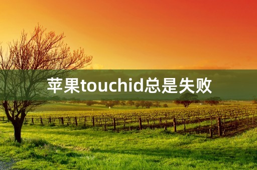 苹果touchid总是失败