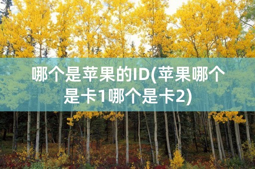 哪个是苹果的ID(苹果哪个是卡1哪个是卡2)