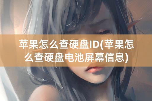 苹果怎么查硬盘ID(苹果怎么查硬盘电池屏幕信息)