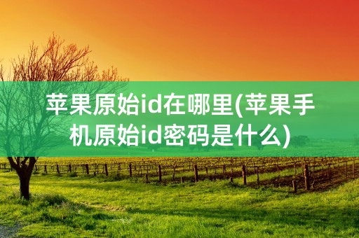 苹果原始id在哪里(苹果手机原始id密码是什么)