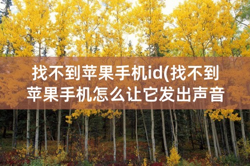 找不到苹果手机id(找不到苹果手机怎么让它发出声音)