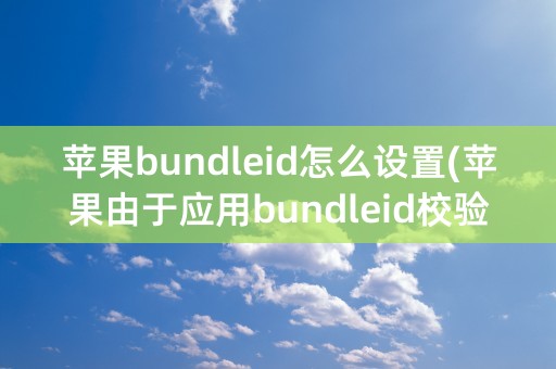 苹果bundleid怎么设置(苹果由于应用bundleid校验不通过)