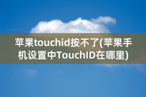 苹果touchid按不了(苹果手机设置中TouchID在哪里)