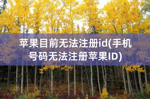 苹果目前无法注册id(手机号码无法注册苹果ID)