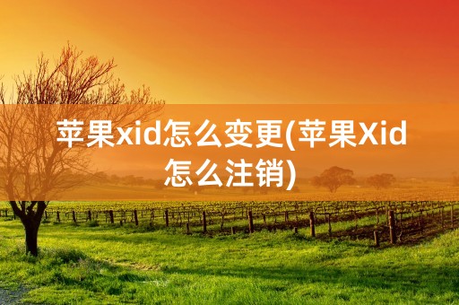 苹果xid怎么变更(苹果Xid怎么注销)