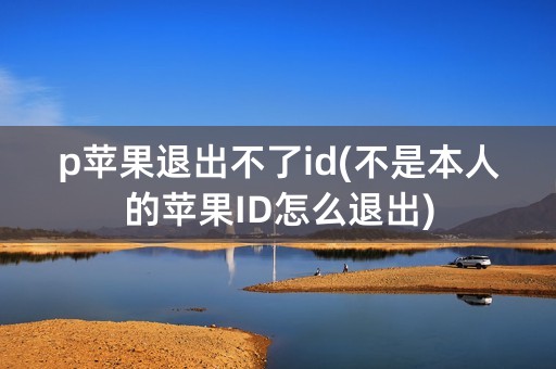 p苹果退出不了id(不是本人的苹果ID怎么退出)