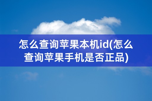 怎么查询苹果本机id(怎么查询苹果手机是否正品)