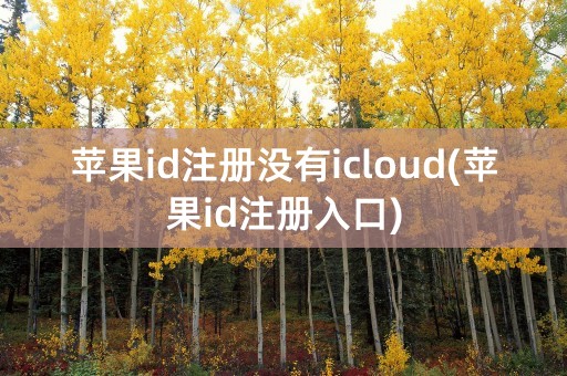 苹果id注册没有icloud(苹果id注册入口)