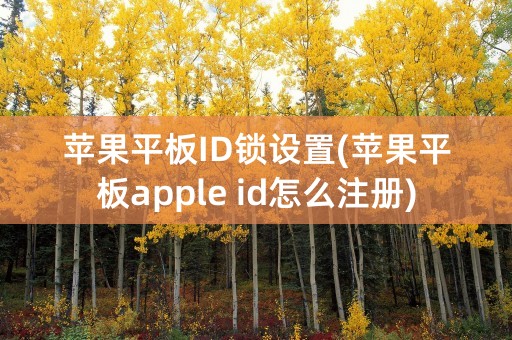 苹果平板ID锁设置(苹果平板apple id怎么注册)