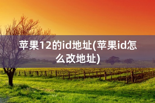 苹果12的id地址(苹果id怎么改地址)