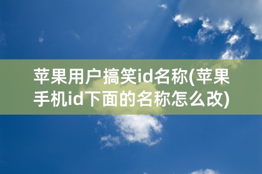 苹果用户搞笑id名称(苹果手机id下面的名称怎么改)