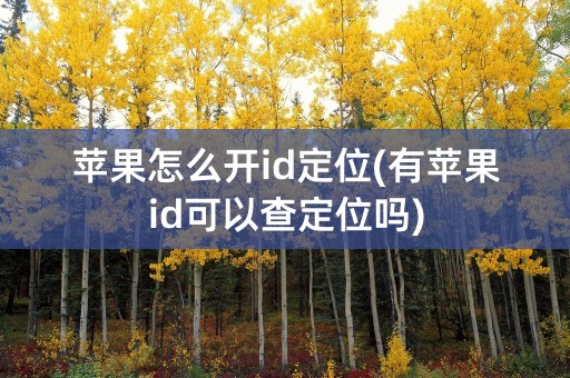 苹果怎么开id定位(有苹果id可以查定位吗)