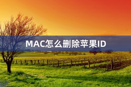 MAC怎么删除苹果ID