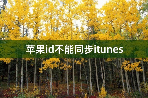 苹果id不能同步itunes