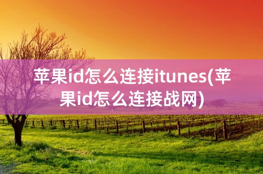 苹果id怎么连接itunes(苹果id怎么连接战网)