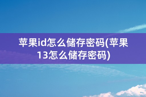 苹果id怎么储存密码(苹果13怎么储存密码)