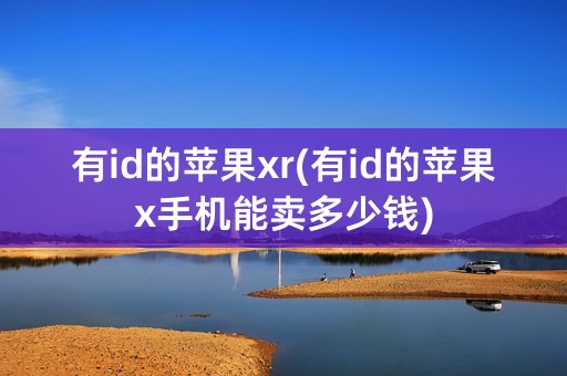 有id的苹果xr(有id的苹果x手机能卖多少钱)