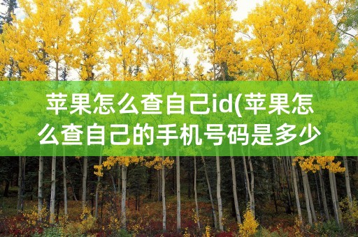 苹果怎么查自己id(苹果怎么查自己的手机号码是多少)