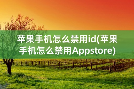 苹果手机怎么禁用id(苹果手机怎么禁用Appstore)