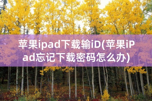 苹果ipad下载输iD(苹果iPad忘记下载密码怎么办)