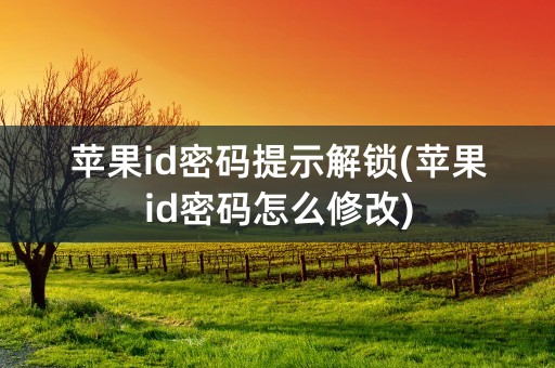 苹果id密码提示解锁(苹果id密码怎么修改)