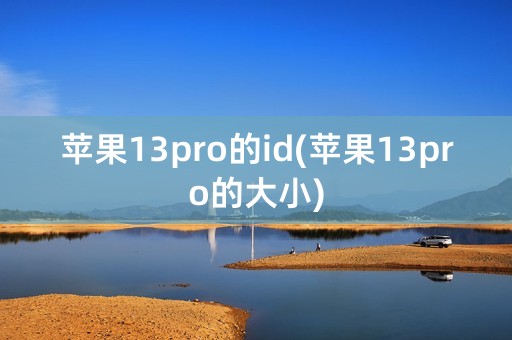 苹果13pro的id(苹果13pro的大小)