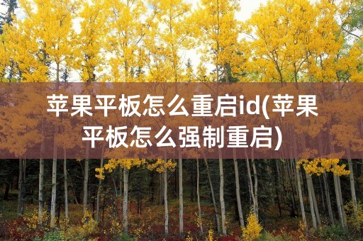 苹果平板怎么重启id(苹果平板怎么强制重启)