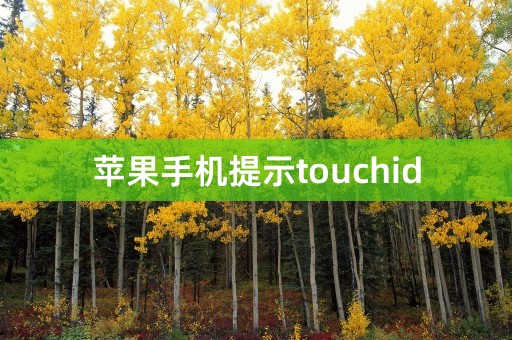 苹果手机提示touchid