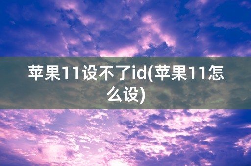 苹果11设不了id(苹果11怎么设)