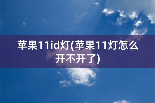 苹果11id灯(苹果11灯怎么开不开了)