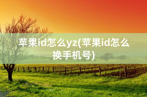 苹果id怎么yz(苹果id怎么换手机号)