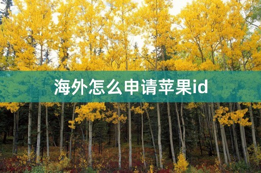 海外怎么申请苹果id