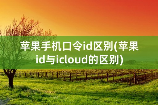 苹果手机口令id区别(苹果id与icloud的区别)