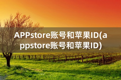 APPstore账号和苹果ID(appstore账号和苹果ID)