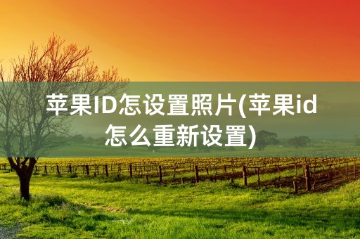 苹果ID怎设置照片(苹果id怎么重新设置)