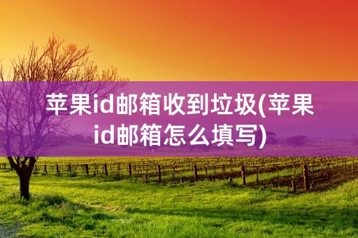 苹果id邮箱收到垃圾(苹果id邮箱怎么填写)