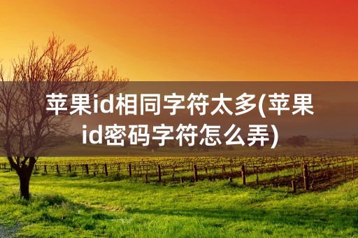 苹果id相同字符太多(苹果id密码字符怎么弄)