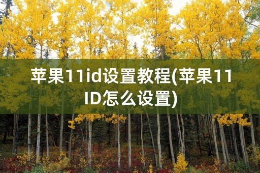 苹果11id设置教程(苹果11ID怎么设置)