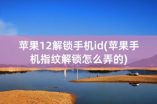 苹果12解锁手机id(苹果手机指纹解锁怎么弄的)