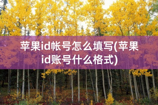 苹果id帐号怎么填写(苹果id账号什么格式)