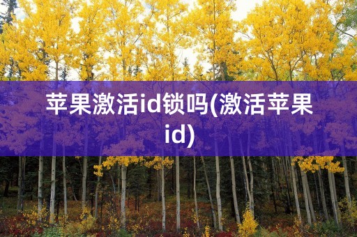 苹果激活id锁吗(激活苹果id)