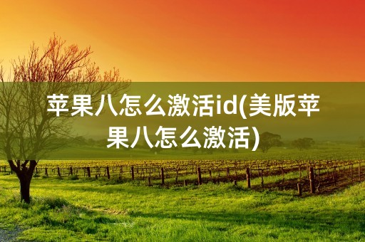 苹果八怎么激活id(美版苹果八怎么激活)