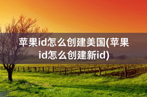 苹果id怎么创建美国(苹果id怎么创建新id)