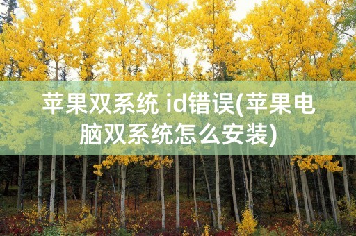 苹果双系统 id错误(苹果电脑双系统怎么安装)