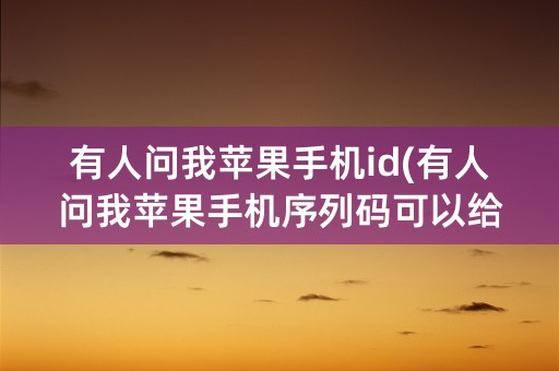 有人问我苹果手机id(有人问我苹果手机序列码可以给么)