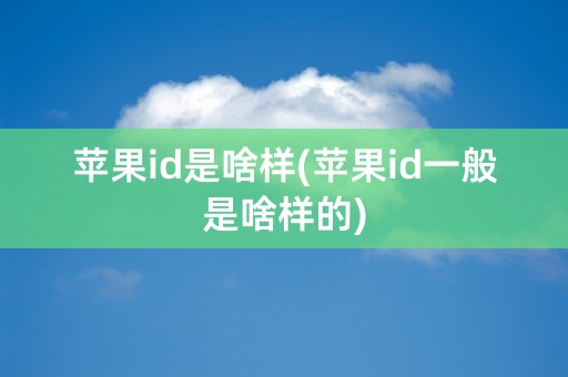 苹果id是啥样(苹果id一般是啥样的)