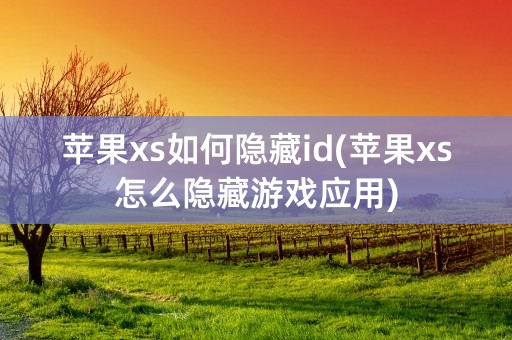 苹果xs如何隐藏id(苹果xs怎么隐藏游戏应用)