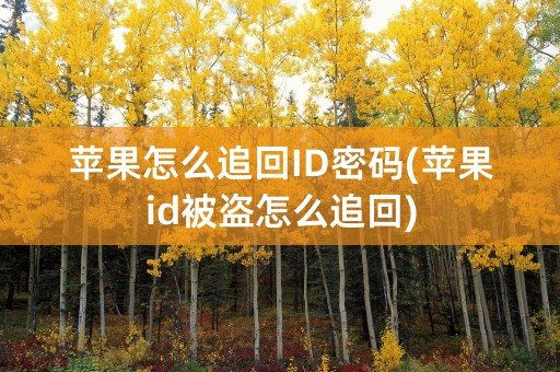 苹果怎么追回ID密码(苹果id被盗怎么追回)