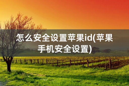 怎么安全设置苹果id(苹果手机安全设置)